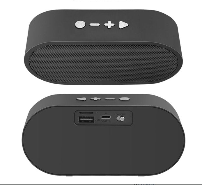 Bluetooth Speaker with Built in Wi-Fi Security Camera